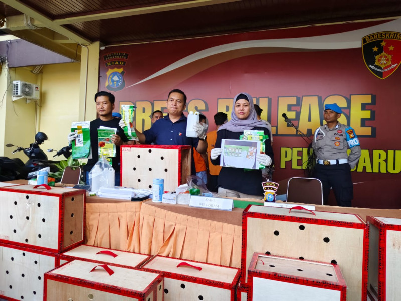 Modus Selundupkan Narkoba Dalam Kandang Ayam Terungkap, Dua Pelaku Ditangkap Polisi