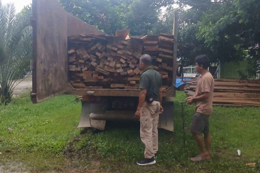 Dua Terduga Pelaku Illegal Logging Diamankan Polisi Kehutanan di Taman Nasional Bukit Tiga Puluh