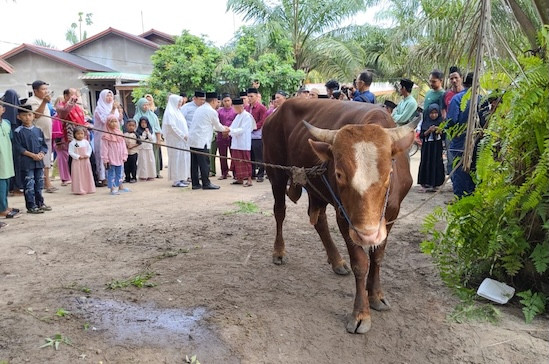 Bupati Afni Rayakan Iduladha dan Berkurban di Dusun Terpencil di Siak, Senyum Warga Hapus Lelah Perjalanan