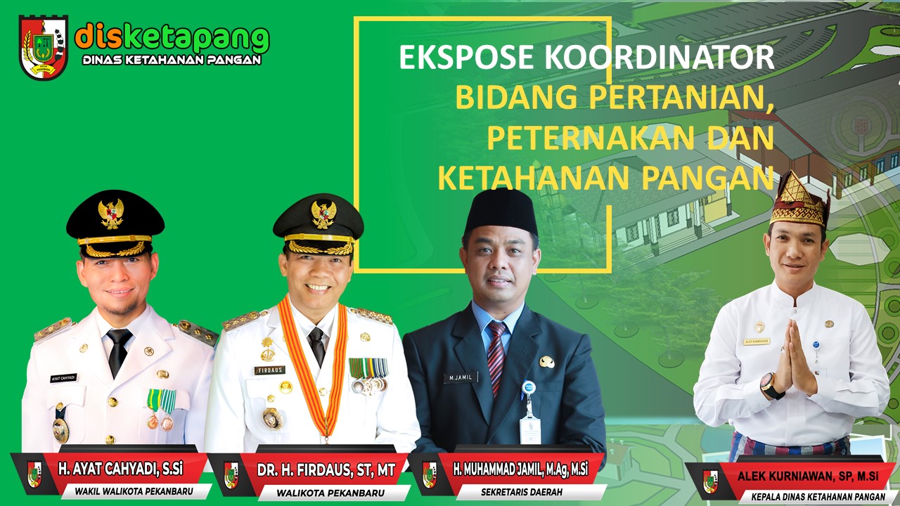 Disketapang Paparkan Strategi Kebijakan PEN