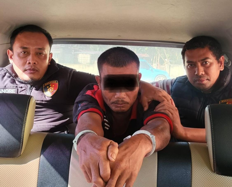 Suami Cari Kayu Bakar, Mertua di Langgam Perkosa Menantu Yang Lagi Sakit
