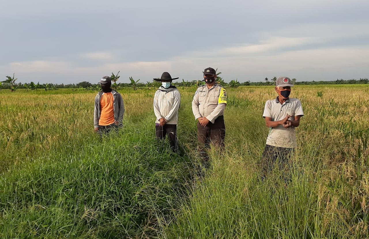 Polsek Kuala Kampar Pantau Program Kampung Tangguh di Desa Teluk Bakau