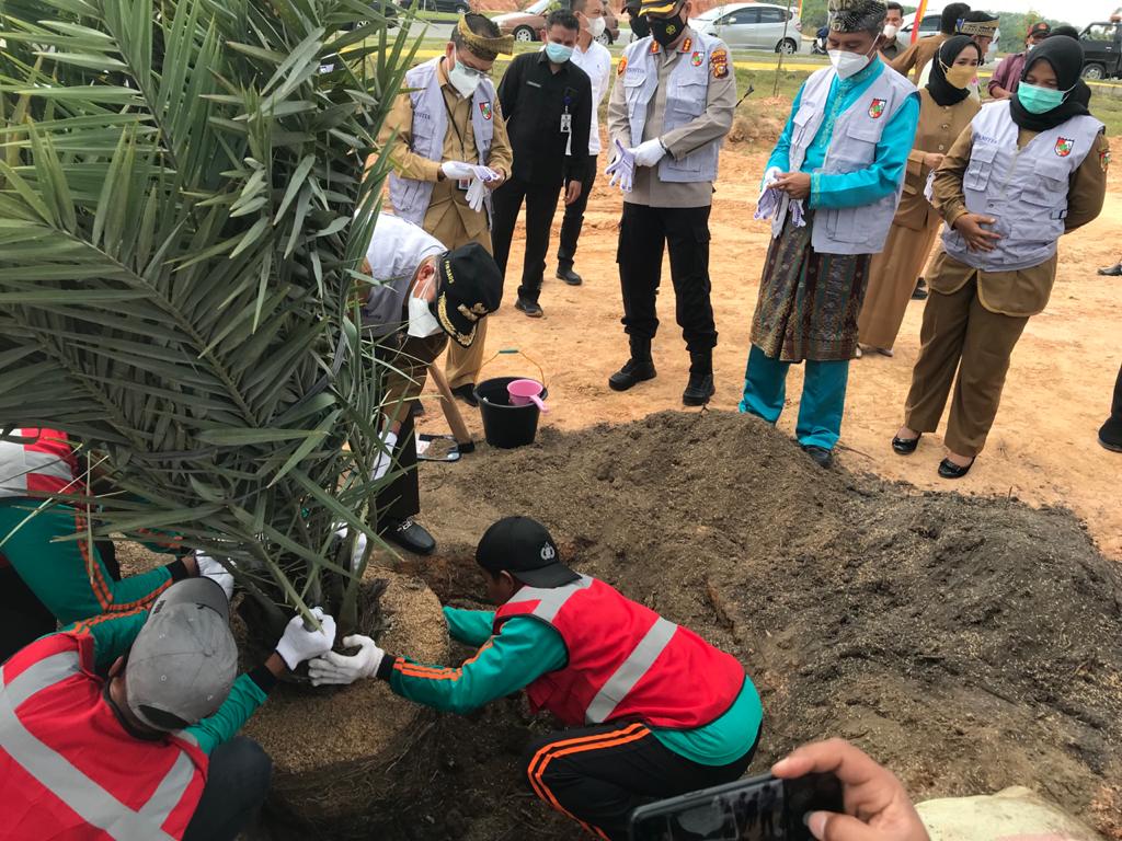 Ada Pohon Kurma di Kompleks Perkantoran Tenayan Raya, 400 Batang Siap Ditanam