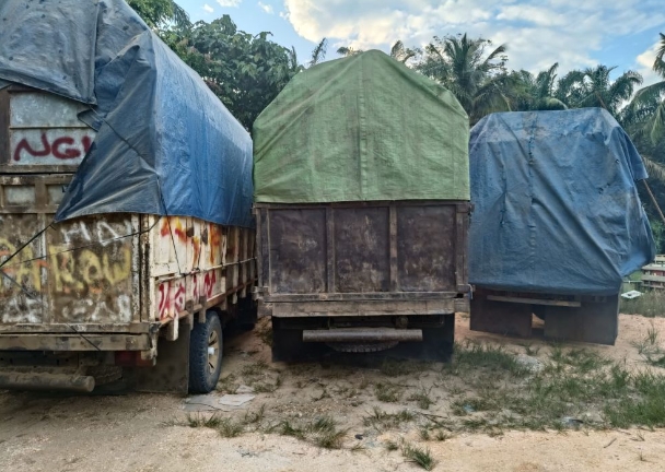 4 Truk Bermuatan Kayu Ilegal Diamankan Polisi, Satu Sopir Ditangkap, Empat Kabur