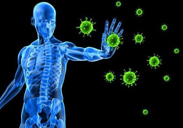 Tingkatkan Sistem Imun dengan Cara Ini Agar Tidak Mudah Sakit