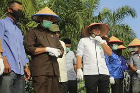 Walikota Pekanbaru Hadiri Kontrak Farming Antara PT SPM Bersama Upja Binakarya