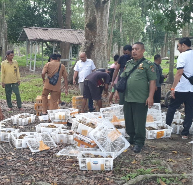 1.946 Burung Hasil Sitaan Dilepasliarkan di Hutan TWA Buluh Cina