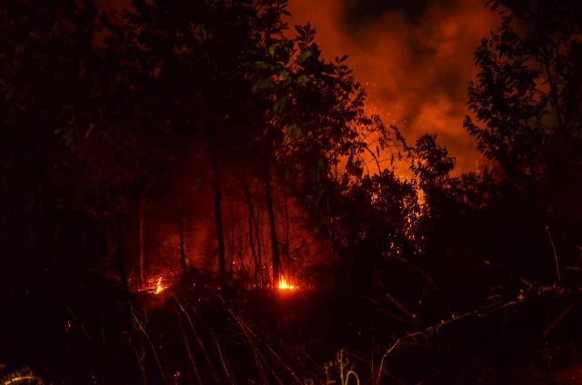 Kebakaran Lahan di Pekanbaru
